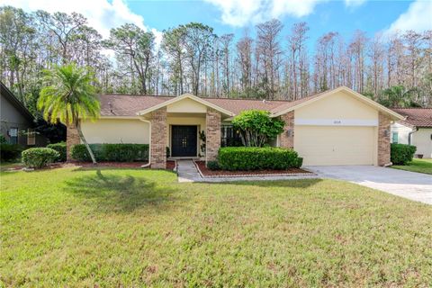 A home in PALM HARBOR