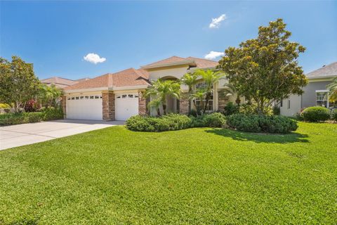 A home in LAND O LAKES