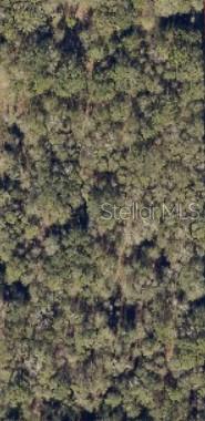 PINEMOUNT MEADOWS SUB - Land