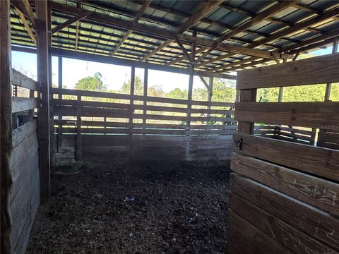 Tiny photo for 8955 W Highway 316, Reddick, FL 32686 (MLS # OM715160)