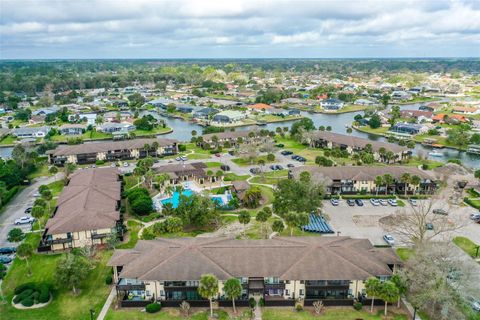 A home in PALM COAST