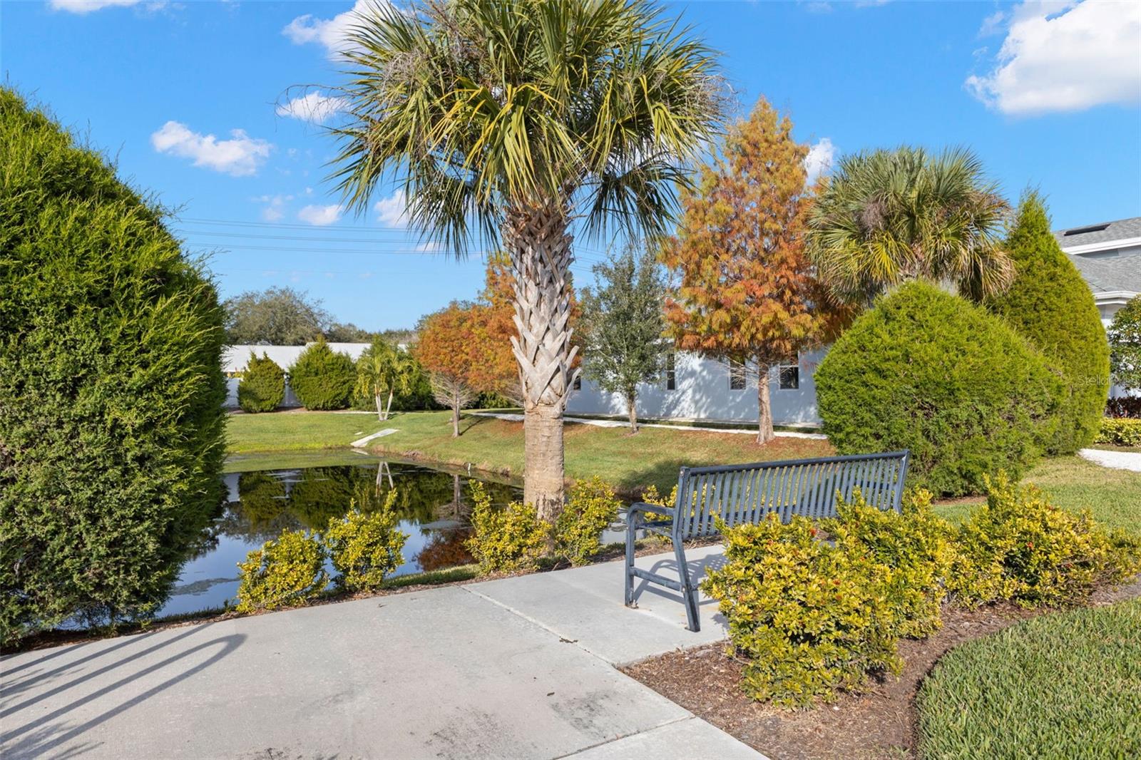 DUNEDIN COVE - Residential