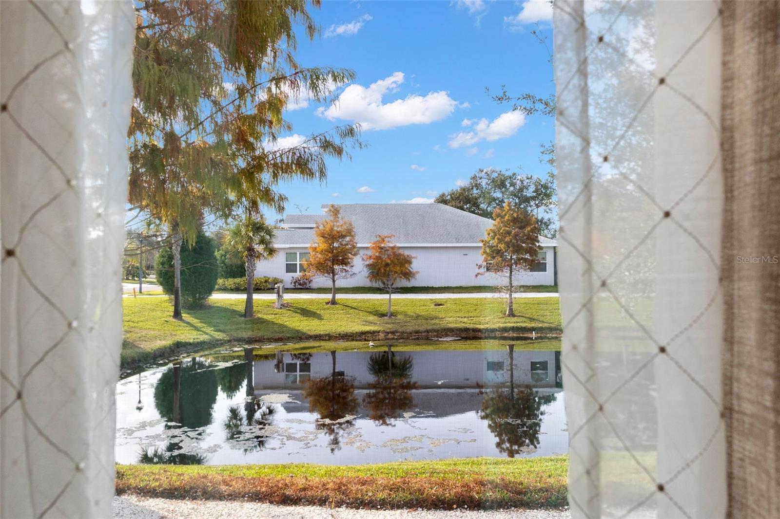 DUNEDIN COVE - Residential