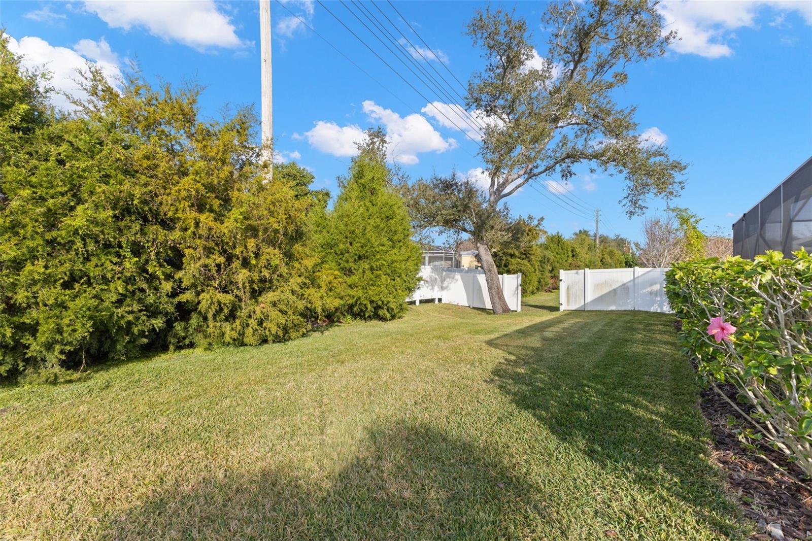 DUNEDIN COVE - Residential