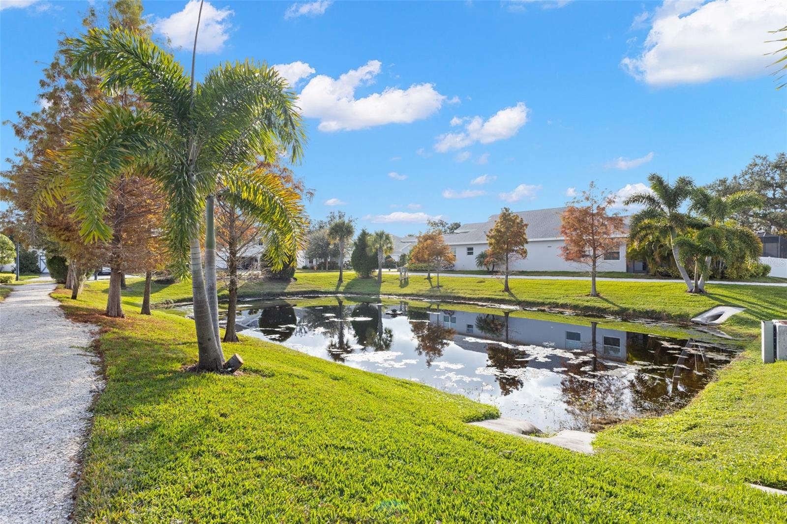 DUNEDIN COVE - Residential