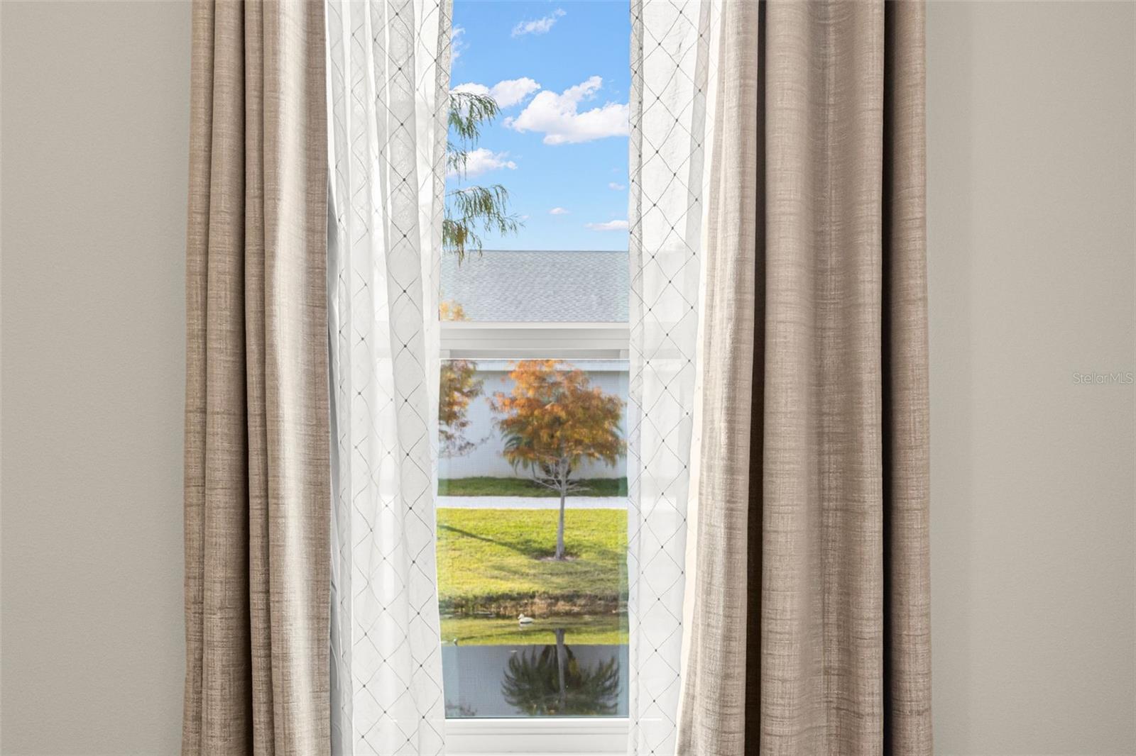 DUNEDIN COVE - Residential