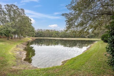 A home in TAMPA