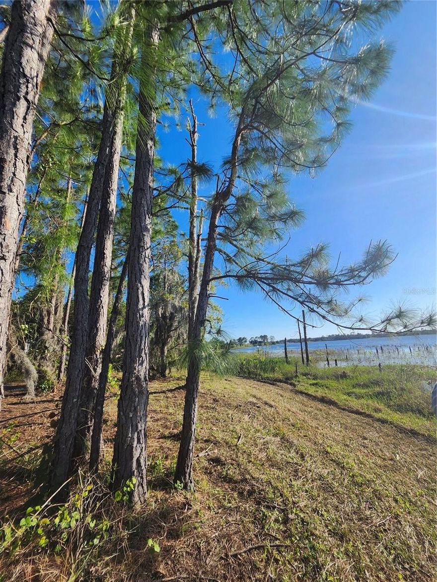 Build your dream home close to nature and close to all amenities (shops, restaurants, schools). 
40 minutes to the Orlando airport
25 minutes to Orlando downtown.
35 minutes to the ocean (New Smyrna Beach)