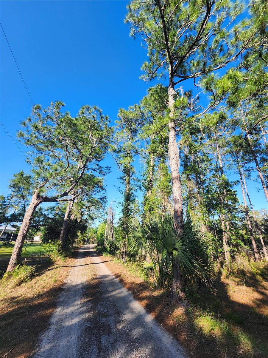 2332 MITCHELL ISLAND ROAD