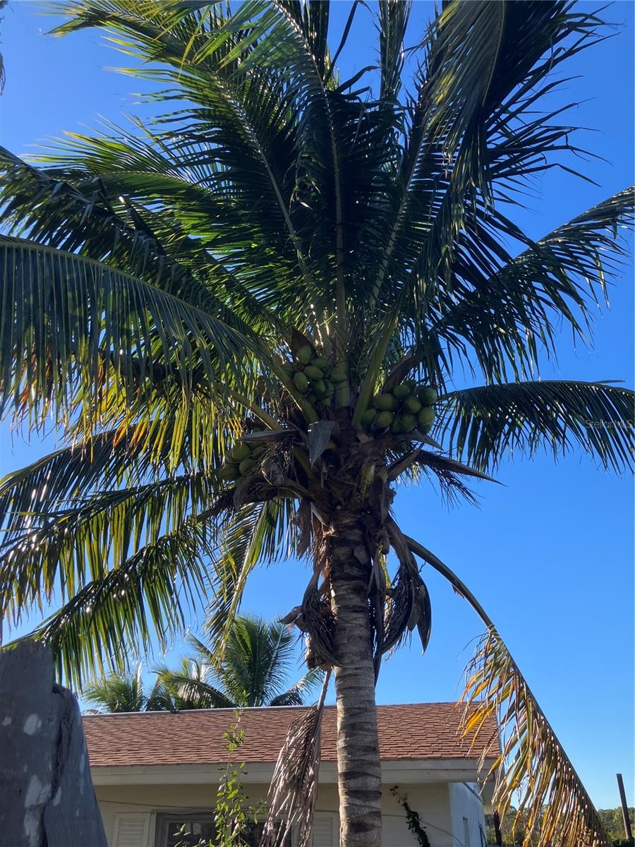 MOBILE CITY - Residential