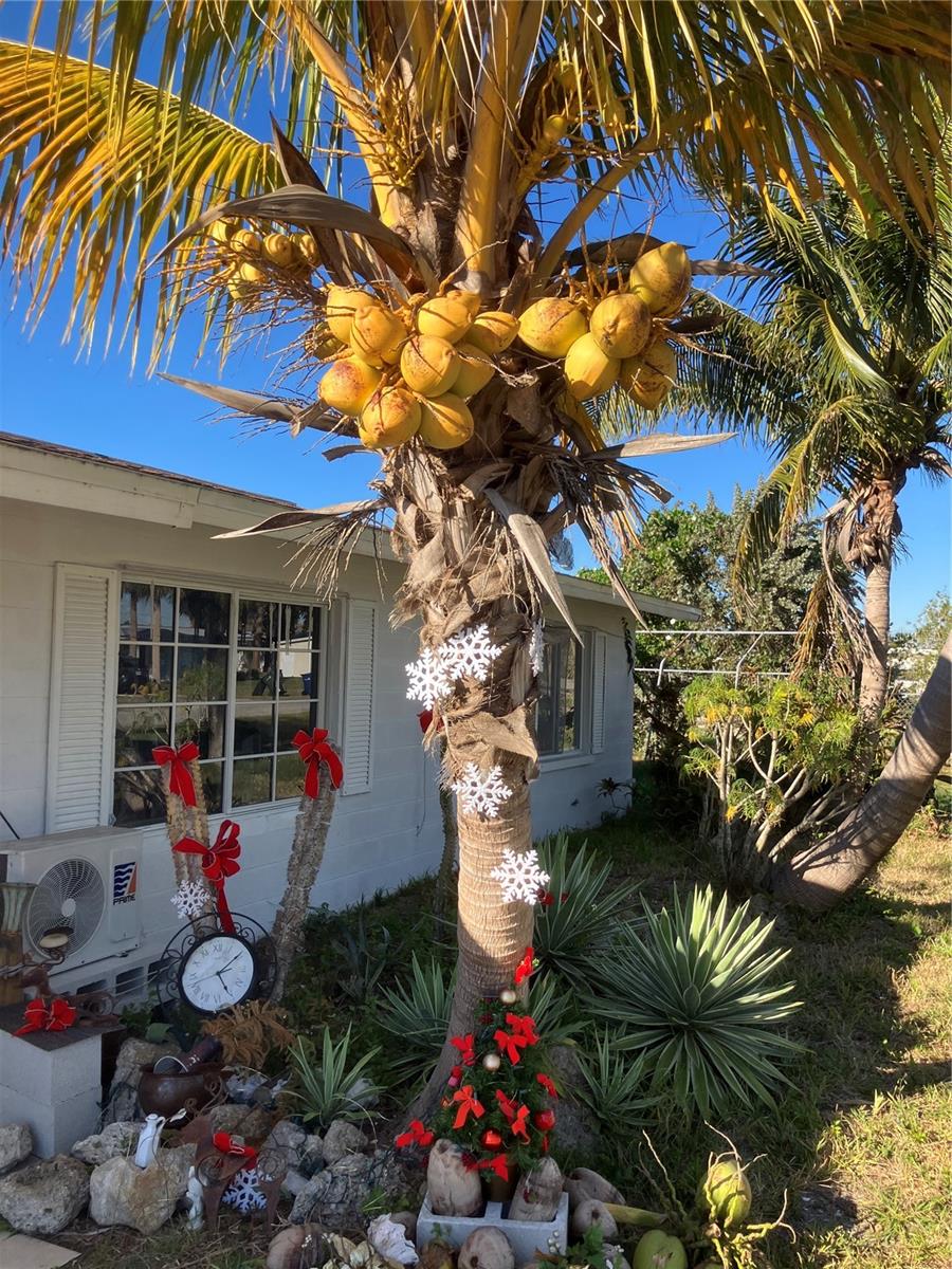 MOBILE CITY - Residential