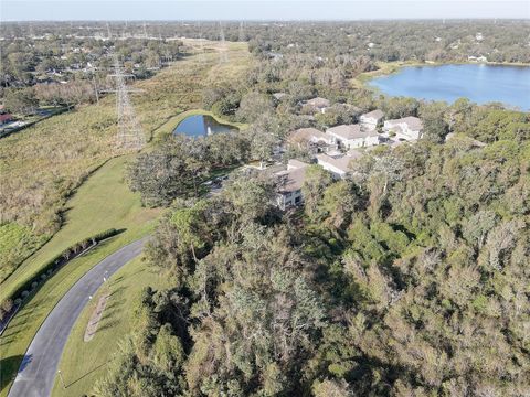 A home in PALM HARBOR