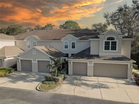 A home in PALM HARBOR