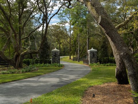 Tiny photo for Tbd NW 130th Avenue, Ocala, FL 34482 (MLS # OM689138)