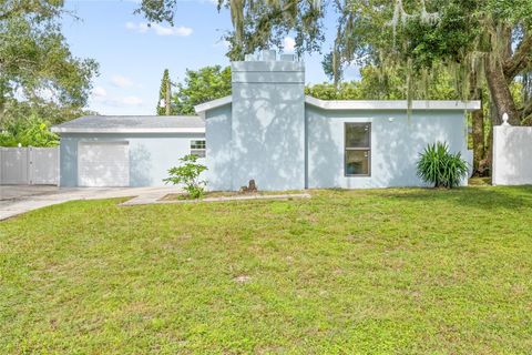 A home in TEMPLE TERRACE