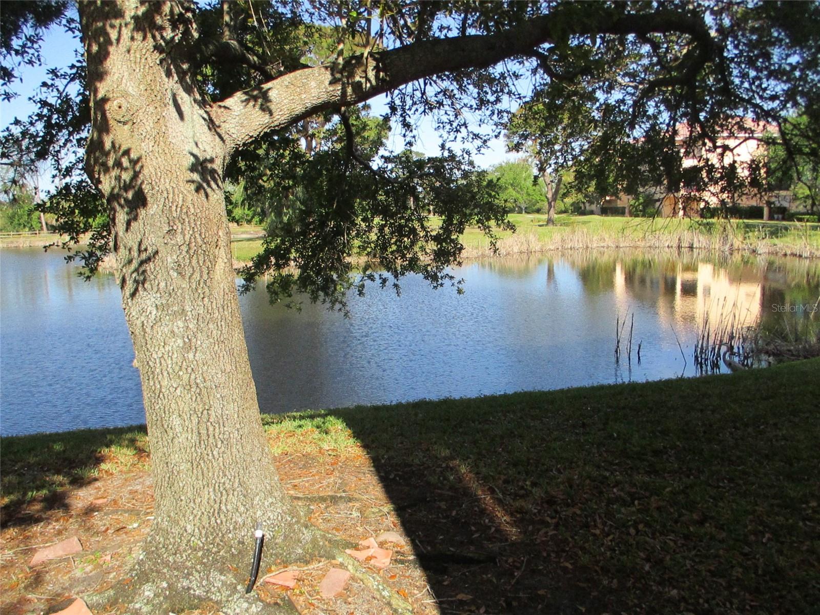 1514 CITRINE TRAIL