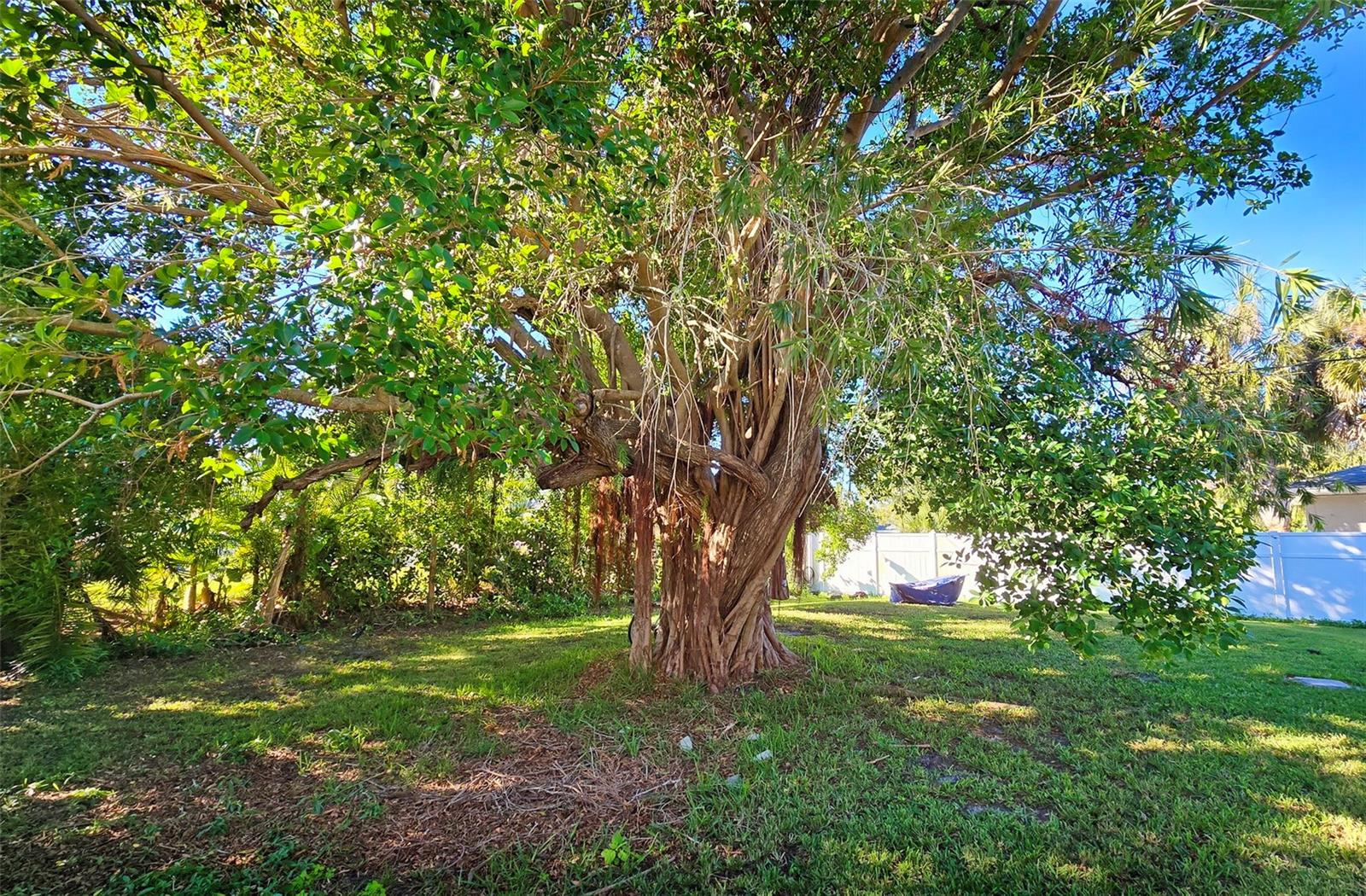 SUN HAVEN - Residential