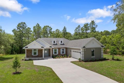 Photo of 3818 W Birds Nest Drive, Beverly Hills, FL 34465 (MLS # W7879608)