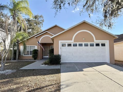 10233 ALLENWOOD DRIVE RIVERVIEW FL 33569