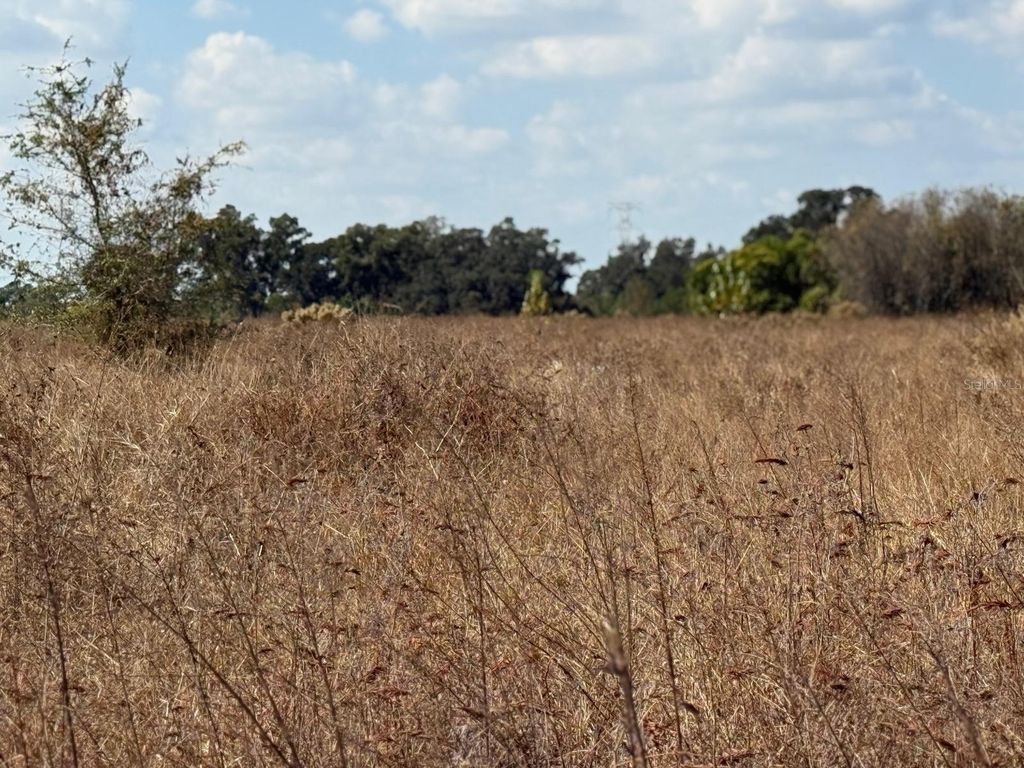 Photo of 12828 Fort King Highway, Thonotosassa, FL 33592 (MLS # TB8401649)