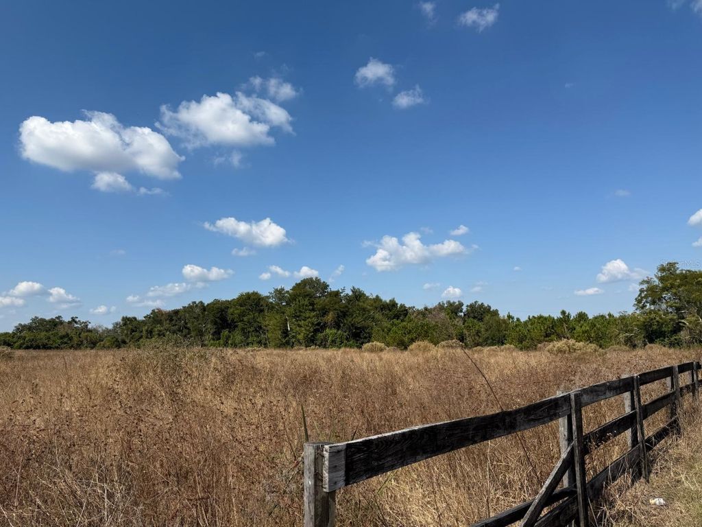 Photo of 12828 Fort King Highway, Thonotosassa, FL 33592 (MLS # TB8401649)