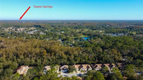 A home in PALM HARBOR