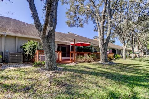 A home in PALM HARBOR