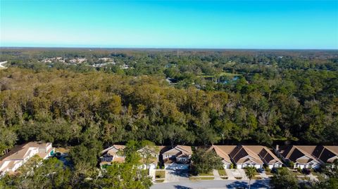 A home in PALM HARBOR