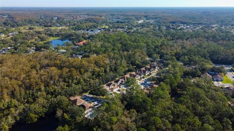 A home in PALM HARBOR