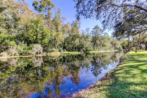 A home in PALM HARBOR