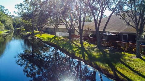 A home in PALM HARBOR