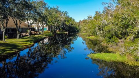 A home in PALM HARBOR