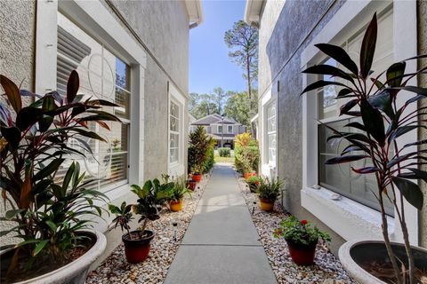 A home in PALM HARBOR