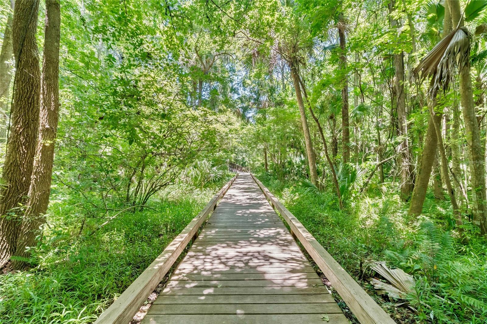 SPRINGS THE SHADOWOOD VILLAGE SEC 2 - Residential