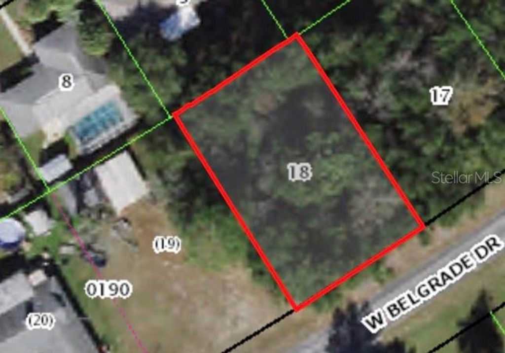 Photo of 1949 W Belgrade Drive, Citrus Springs, FL 34434 (MLS # A4577431)