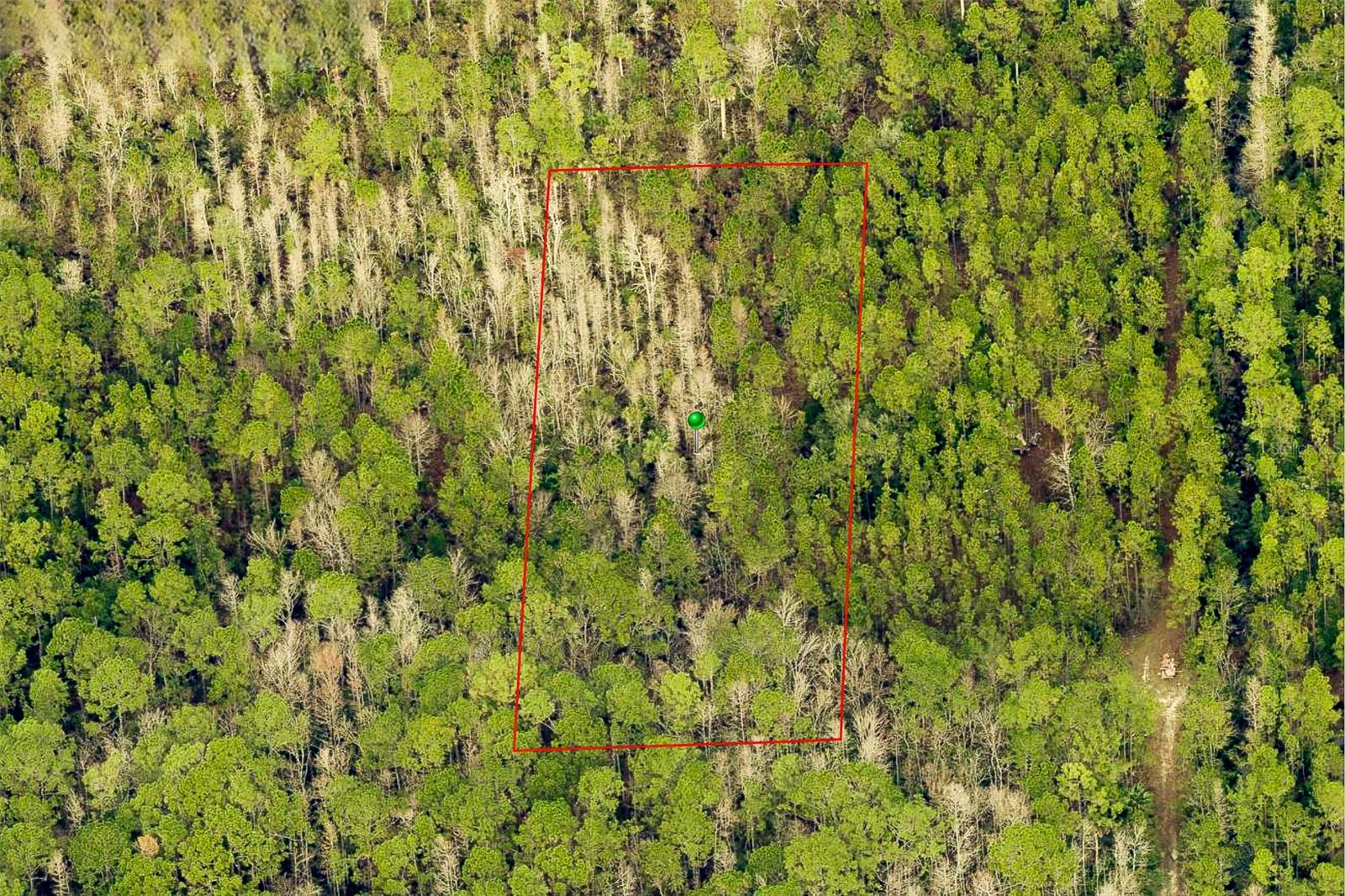 Listing image 5