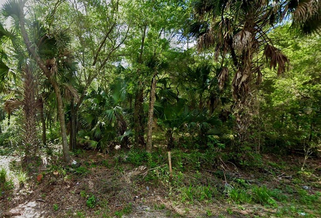 Photo of SE 167 Court, Ocklawaha, FL 32179 (MLS # TB8314218)