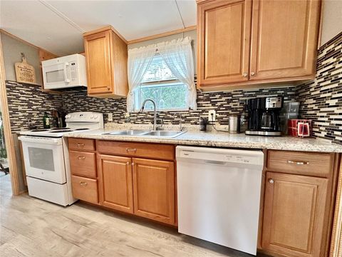 Tiny photo for 18400 SE 90th Lane, Ocklawaha, FL 32179 (MLS # OM721781)