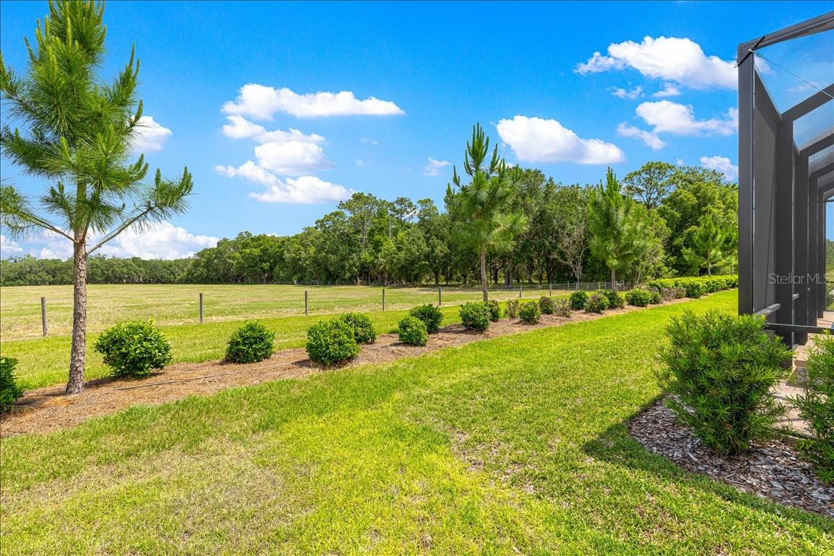STONE CREEK BY DEL WEBB SARATOGA - Residential