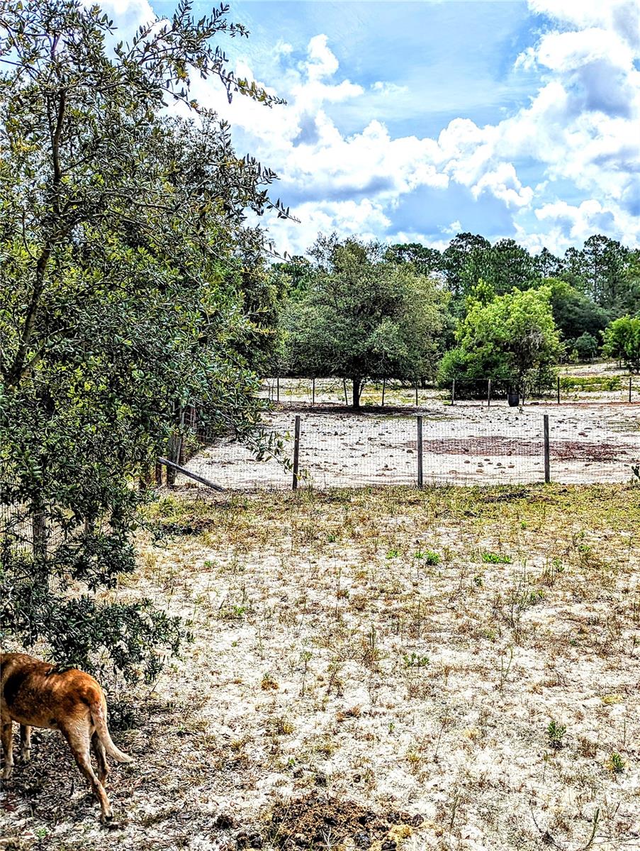HILLS/FLORIDA WOODS - Land