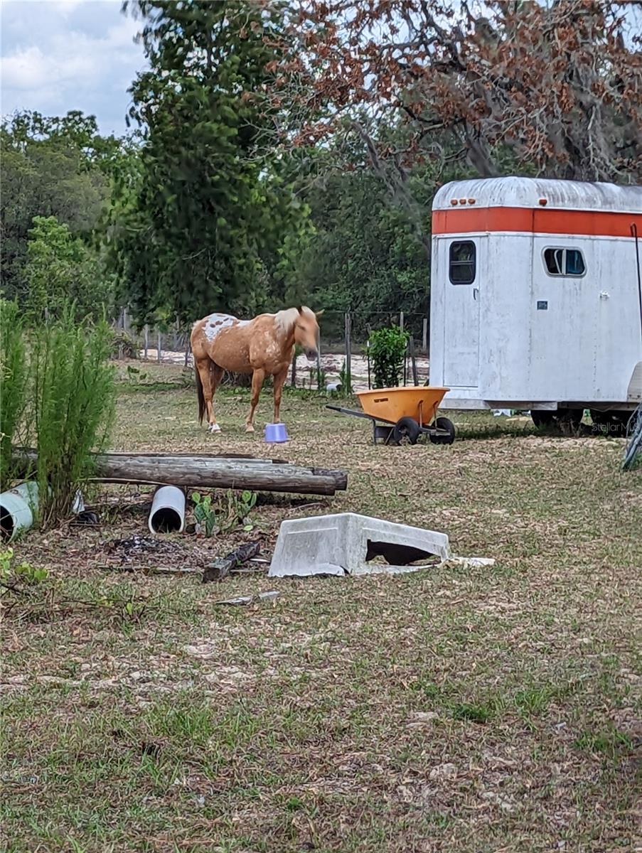 HILLS/FLORIDA WOODS - Land