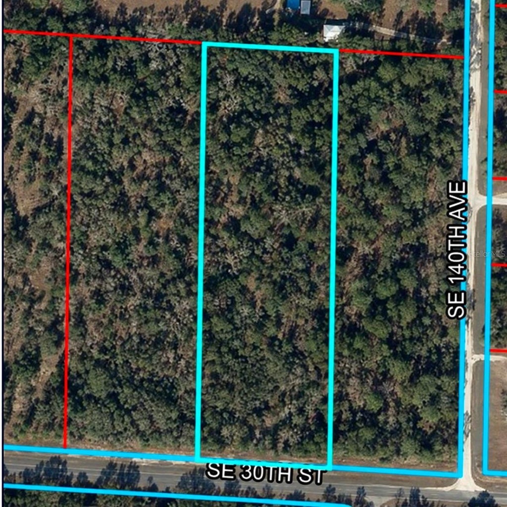 Photo of SE 30th Street, Morriston, FL 32668 (MLS # OM733698)