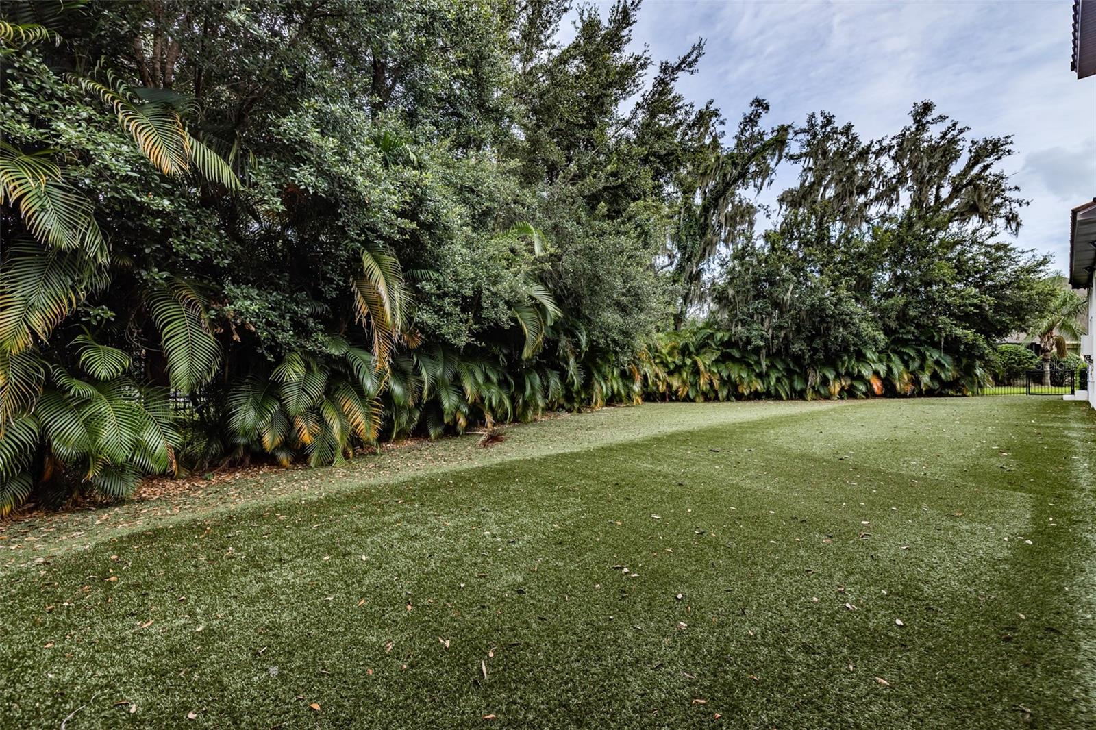 FISHHAWK RANCH TOWNCENTER PHAS - Residential