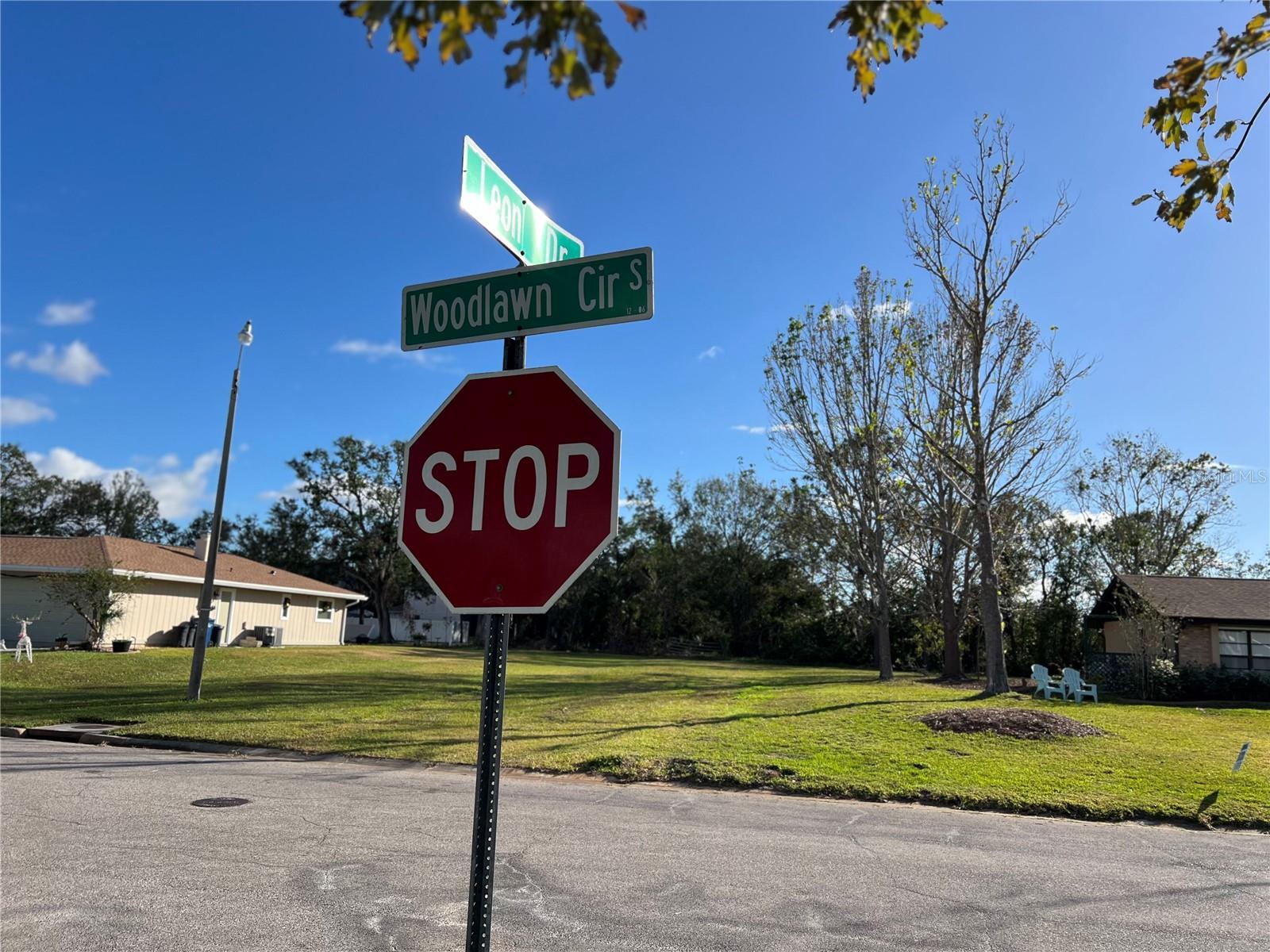 LEON DRIVE