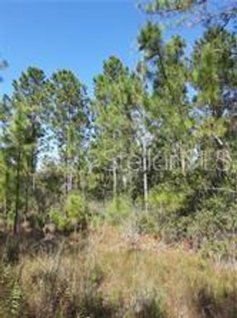 SALYERS ROAD CLERMONT FL 34714