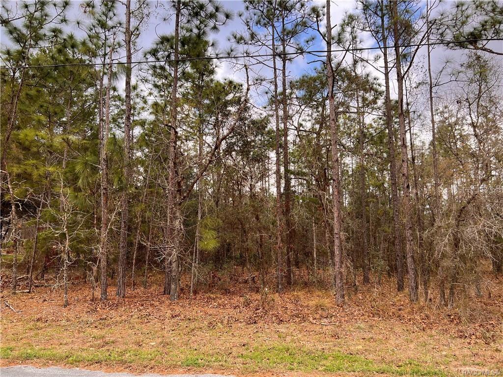 001792 - SUGARMILL WOODS (CYPRESS VILLA - Land