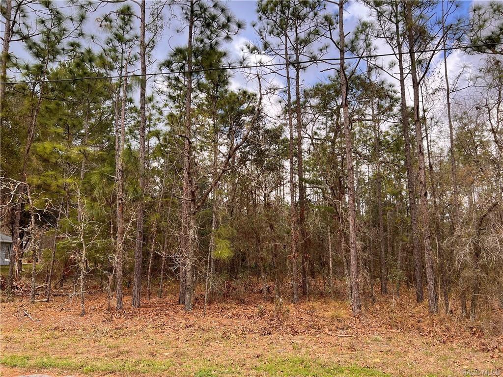 001792 - SUGARMILL WOODS (CYPRESS VILLA - Land