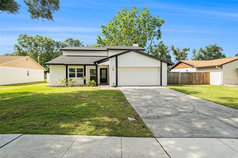 4914 COUNTRY HILLS DRIVE TAMPA FL 33624
