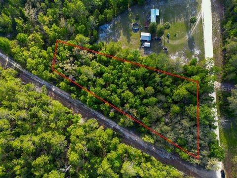 Photo of Lake Maregaret Boulevard, Pomona Park, FL 32181 (MLS # V4948688)