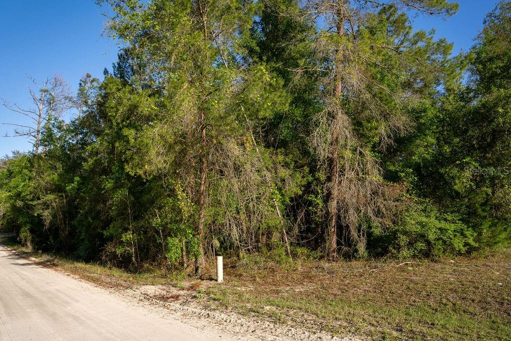 LAKE MAREGARET BOULEVARD